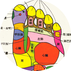 足底反射區(qū)療法